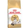 Royal Canin Breed Multipack risparmio! 2 x 10 kg Royal Canin Breed Crocchette per gatto - Ragdoll Adult