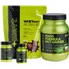 +Watt Kit Massa Muscolare Mass Formula + Creatina + Aminoacidi + Proteine