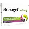Benagol Herbal gusto Frutti di Bosco 24 Pastiglie â€" Sollievo immediato per la gola