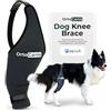 Ortocanis - Ginocchiera per Cane - Zampa Posteriore Destra - Realizzata in Neoprene ARD - Rottura del LCA, Lesioni del Legamento, Lussazione della Rotula o Osteoartrite - Taglia X-Mini (5-5,8 )