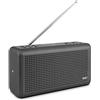 Nordmende Transita 210 - Radio digitale DAB+ e FM portatile (Music Box portatile con altoparlante Bluetooth, radio da esterno con batteria e orologio), antracite