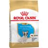 Royal Canin Breed Multipack Risparmio! 2 x Royal Canin Breed Crocchette per cane - 2 x 10 kg French Bulldog Puppy