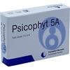 BIOGROUP SPA SOCIETA' BENEFIT PSICOPHYT REMEDY 5B 4 TUBI 1,2 G