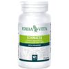 ERBA VITA GROUP SPA ECHINACEA 125 TAVOLETTE