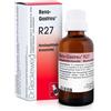 DR.RECKEWEG & CO. GMBH RECKEWEG R27 GOCCE 22 ML