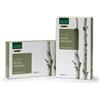 NATURA SERVICE SRL Linfa di Betulla Funzione Drenante 20 Ampolle x 15 ml