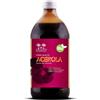 SALUGEA (RELOAD SRL) Salugea Succo di Acerola Bio - Integratore per Difese Immunitarie - 500 ml