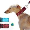 BUB'S Nature Collection-Collare Cane Poliestere Riciclato-Collare Martingale-Collare Levriero - Anti-fuga (S, Lava)