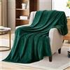 HETOOSHI Coperta in flanella leggera e morbida, per tutte le stagioni，una varietà di dimensioni e colori,Sentiti morbido e caldo, migliora l'effetto del sonno (verde retrò, 180 cm × 200 cm)
