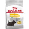 Royal Canin Care Nutrition Royal Canin Mini Dermacomfort Crocchette per cani - Set %: 2 x 8 kg
