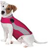 ThunderShirt Pettorina Anti Ansia per Cani XL Grigia 2018