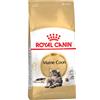 Royal Canin Breed Multipack risparmio! 2 x Royal Canin Feline Crocchette per gatti - 2 x 10 kg Maine Coon Adult