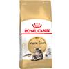 Royal Canin Breed Multipack risparmio! 2 x 10 kg Royal Canin Breed Crocchette per gatto - Maine Coon Adult