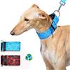 BUB'S Nature Collection-Collare Cane Poliestere Riciclato-Collare Martingale-Collare Levriero Anti-fuga (M, Aqua)