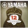 Yamaha FB 12 - Corde per chitarra Western 80/20 super leggere, color bronzo, 1 set