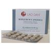 Lao Dan ATRACTYLODES 4 60 CAPSULE