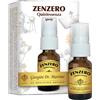 Dr.giorgini ser-vis srl ZENZERO QUINTESSENZA SPRAY