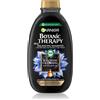 Garnier Botanic Therapy Magnetic Charcoal 400 ml