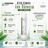 Filtro Remineralizzatore Pentek GS-10CAL/RO