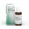 Guna Heel Berberis-Homaccord Gocce Omeopatiche, 30ml