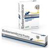 Drn Enteromicro Pasta 15ml