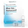 Guna Rhus Tox-Homaccord Medicinale Omeopatico, 10 fiale