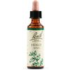 Schwabe Pharma Bach - Holly Rimedio Floreale Originale, 20ml