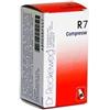 Dr. Reckeweg Dr.reckeweg & Co. Gmbh Reckeweg R7 100cpr 0,1g
