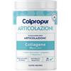 Colpropur Collagene ARTICOLAZIONI Integratore Benessere Cartilagini Articolazioni e Ossa, 336g
