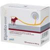 DRN Epato 1500 Plus Alimento Dietetico Complementare per Cani, 120 compresse