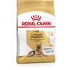 Royal Canin Breed Royal Canin Pastore tedesco (German Shepherd) Adult 5+ Crocchette per cane - Set %: 2 x 12 kg