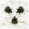 My Cross Stitch Bree Merryn-Kit punto croce contato-Bee Happy, Tessuto, 20 x 20 cm