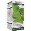 GIORGINI Dr. Giorgini Melissa Estratto Integrale Integratore Benessere Mentale 200 ml