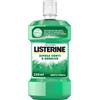 Listerine Listerin Difesa Denti e Gengive Collutorio al gusto di Menta per gengive infiammate 250 ml