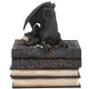 Nemesis Now Secrets Of The Dragon Box 19 cm, nero