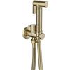 QREZAA Bidet Portatile Kit Doccetta Bidet a Parete Ottone Doccetta per Bidet wc Acqua Fredda Handheld Bidet Spruzzatore Oro Spazzolato Kit di Spruzzatore per Bidet con Tubo Doccia 1,2m
