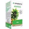 Arkocapsule Arkopharma Ananas Gambo 130 Cps 53 g Capsule