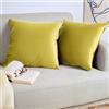 Blumtal Set di 2 Federe Cuscini Divano 45x45 cm in Velluto, con Chiusura Lampo Invisibile, Eleganti Copricuscini Divano in Morbido Velluto,Taglia 45 x 45, Vedre Scuro