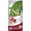 N&D Prime Dog Multipack risparmio! 2 x 12 kg Farmina N&D Crocchette cane - Prime Adult Medium & Maxi Pollo e Melograno