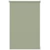 GARDINIA Tenda a Rullo da Giorno, Fissaggio a Incastro o con Adesivo, Opaca, Materiale di Montaggio Incluso, EASYFIX Rollo Uni, Verde Menta, 90 x 210 cm