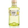 G-Vine June by G-Vine Gin Flavored Gin Pear & Cardamon 37,5% vol. 0,70l