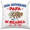Vulfire Federa per Cuscino Papà Speciale, Idea Regalo di Compleanno Originale, Frase Divertente, Non disturbare Papà in ricarica Divano Letto - senza Imbottitura (40_x_40_cm)