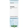 ERBA VITA Erisimo Sommità Soluzione Idroalcolica 50ml Erbavita