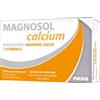 Magnosol Calcium Polvere Effervescente 20 Bustine Magnosol