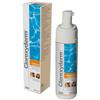 NEXTMUNE ITALY SRL Clorexyderm Soluzione Schiuma Cani/gatti Icf 200ml Nextmune Italy Srl