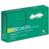 Vocalen 20 Capsule Vocalen