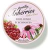 Anberries Pastilles Ribes Rosso & Echinacea Gola E Voce 55g