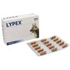 VETPLUS LTD Lypex Integratore Alimentare Per Animali Domestici 60 Capsule Vetplus Ltd