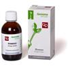 Fitomedical Ginkgo Macerato Glicerinato 50ml Fitomedical