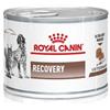 Royal Canin Veterinary Diet Recovery Umido Per Cani/gatti Lattina 195g